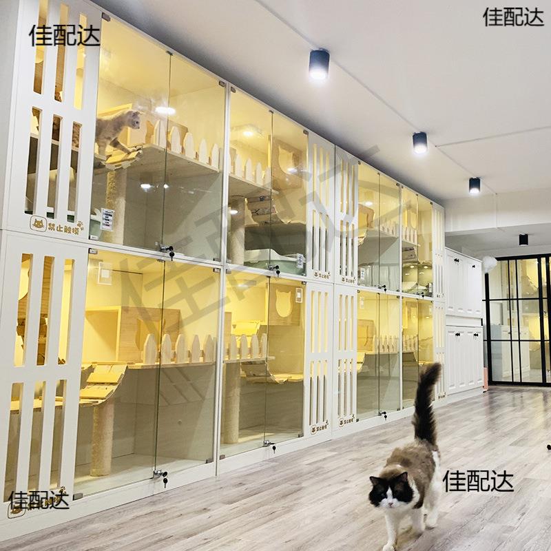 宠物店展示寄宠物笼子子别墅房玻璃门展示柜宠物无品牌/肥笼猫猫