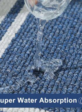 地垫户门脚门耐脏客厅家用蓝色入垫厨房NTM门口吸水可机洗垫底垫