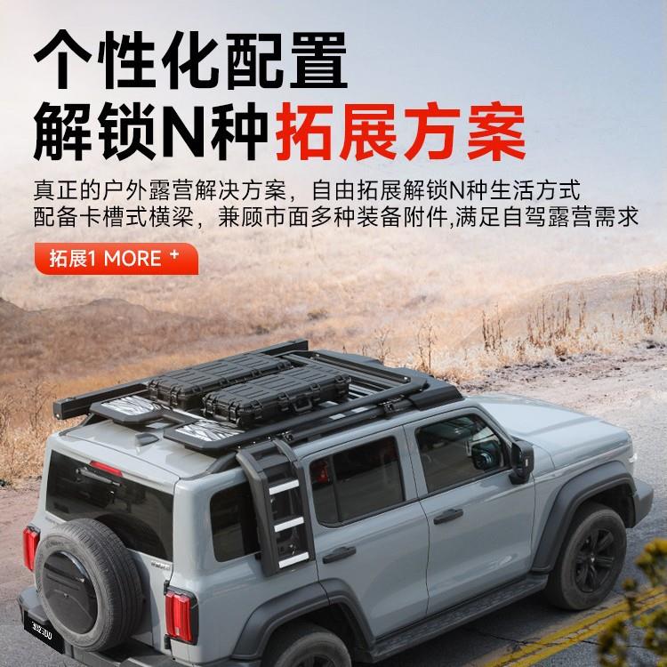 坦克300逐风顶车李XCV架改装热行车顶拓展平台越野侧血边爬梯侧账