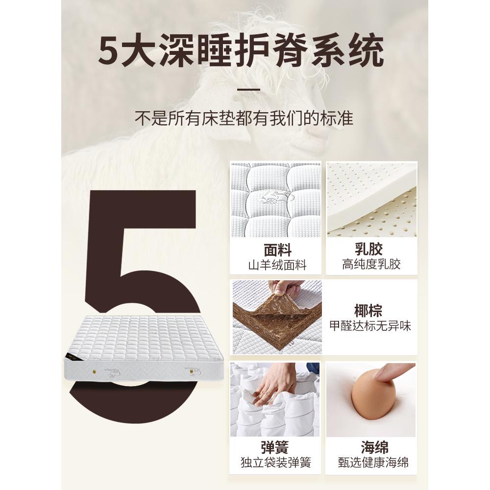 梦席思1床垫家用卧o6177791室乳胶软垫20c厚硬.m5米租房弹簧床垫