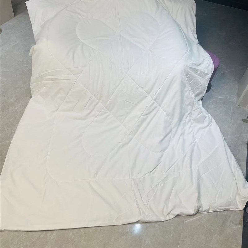 级酒店被子宾馆被芯丝绵被春秋.5x2米夏季被空调被3.5斤