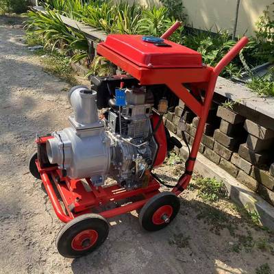 移动式油柴抽水泵推汛应急防物资水泵手式6寸灌溉麦273田汽油离心