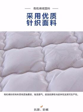 弹簧床垫188024垫厚加.米双人床.米椰垫棕偏硬乳胶床垫席梦思厚