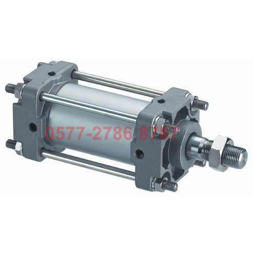 山耐斯SC80X2NGE550751020125151750030准0标气缸WSN0S