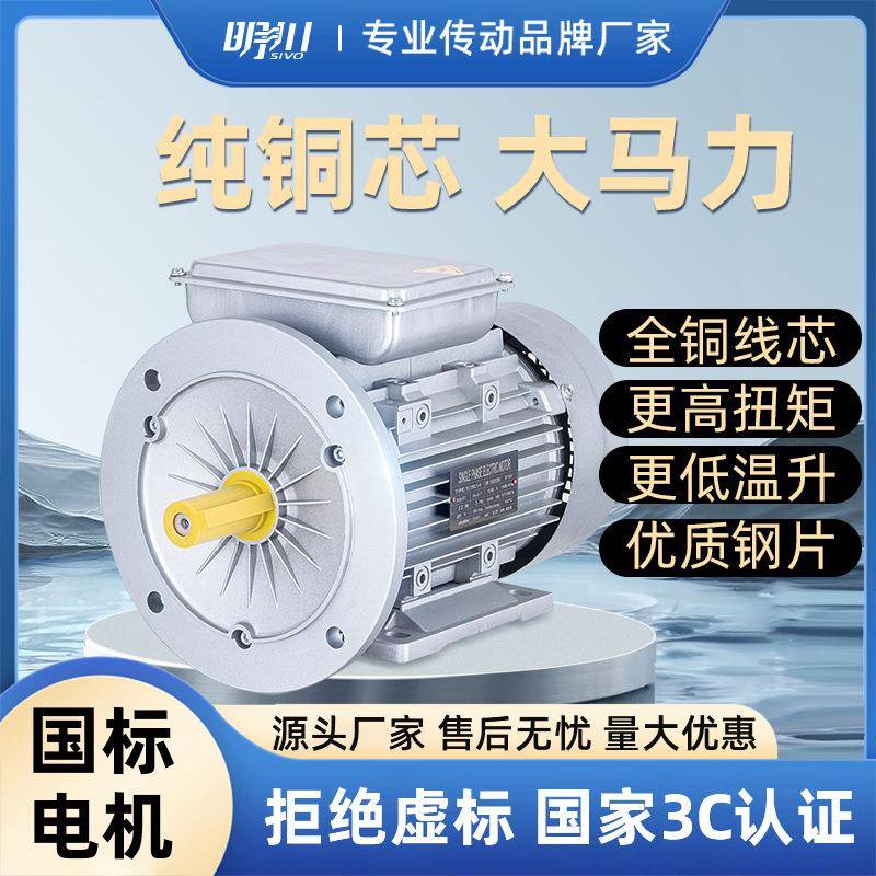 370/750/1500/2200/3000W料线电机电动机异步工厂高效节能电机