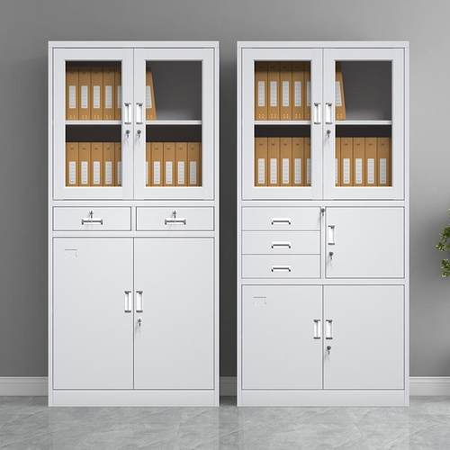 钢制密码文储件柜办公室凭料证档案资柜铁皮物柜带纳锁收LC-02柜