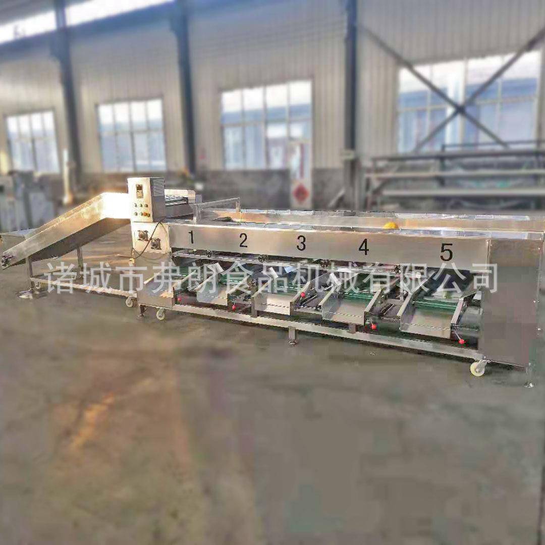 土豆分级机洋葱马铃薯分级机马蹄大小分选设备阳荷姜分级机