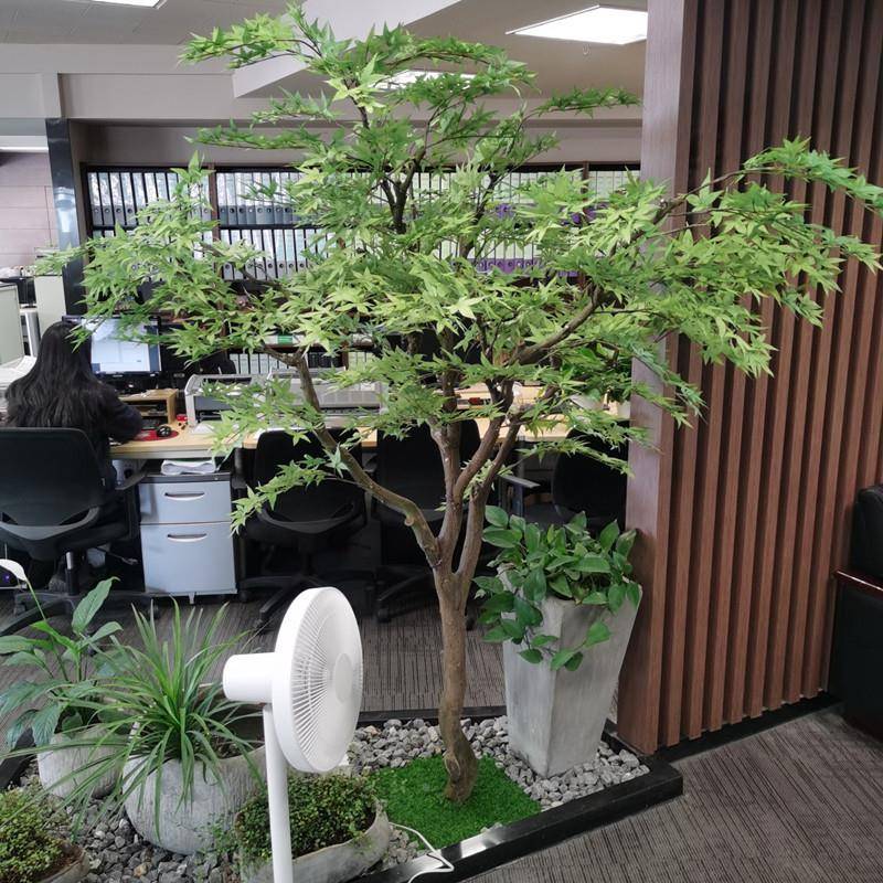 仿真枫鸡爪槭日式庭院枯山树水造景观红枫绿假树无品牌/橱窗摆室图片