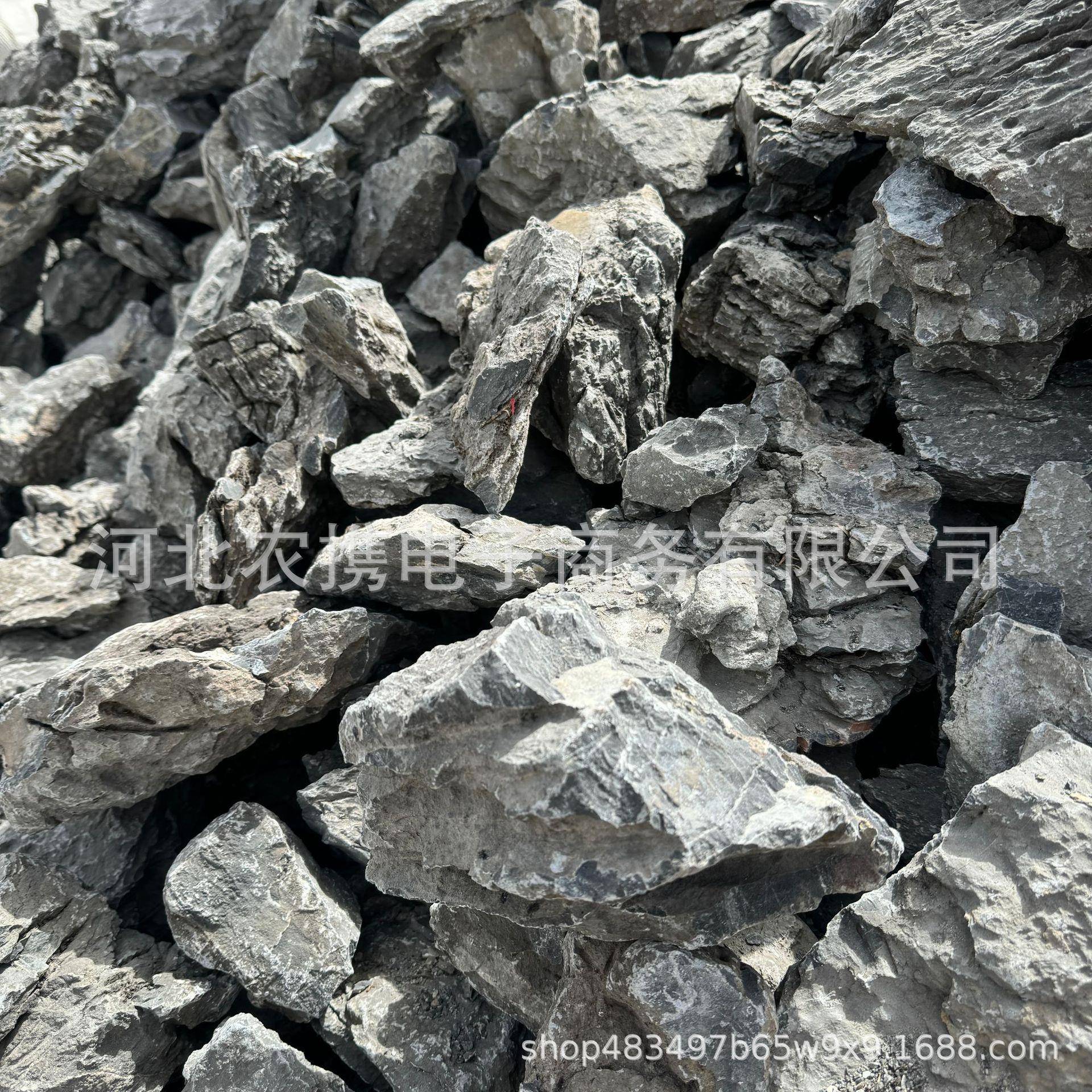 假庭山青石盆景2025054石花园院造景驳流溪岸景观石鱼缸造景天龙