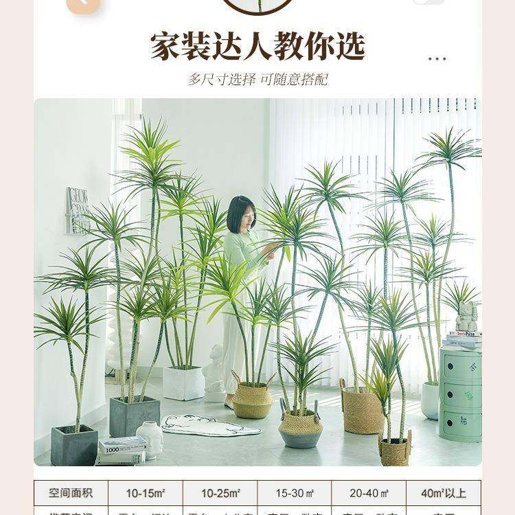 大型玄摆关电视柜地摆件落龙舌兰轻绿植植物10012497盆栽客奢厅装,家居饰品,落地摆件,淘宝优惠券,粉丝福利购,淘宝优惠卷