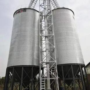 玉粮米食立镀粮锌板钢板仓粮食用自动进料出FHB料筒仓储粮仓