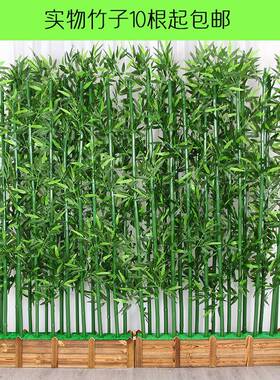 仿真竹13731子装饰假竹子隔断屏植风加密绿塑料竹子仿室内真物盆