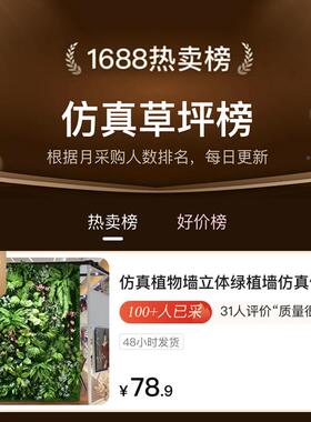 仿绿真植物墙1平方造挡景假植户外防晒坪87075墙草围装