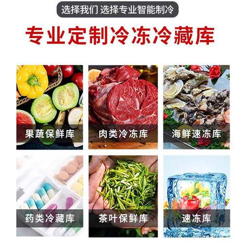 冰方冻水果保鲜冷库肉类海鲜冷立柜冷库门冷库板厂库家AYO冷全套
