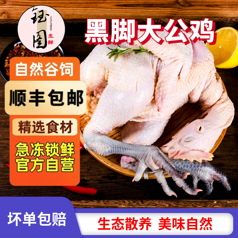 【黑脚土公鸡】散养黑爪老母鸡月子鸡笨鸡特惠草鸡老母鸡杂粮