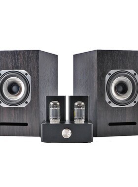 欧洲桌面小胆机 迷你型胆机6AD10 PA1501A电子管功放4寸全频喇叭