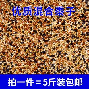 叫声斑鸠麻雀乌食毛色鸟饲料专用鹦鹉攀爬免运费粮食鸽子虎皮精致