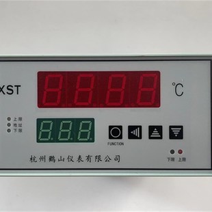 1315数显温控仪带485接口0 20mA 150度温控器 杭州鹳山XST