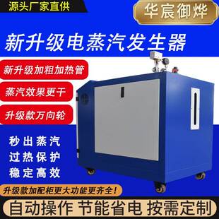 144KW电蒸汽发生器工程养护食品加工纺织工业全自动直销锅炉熨斗