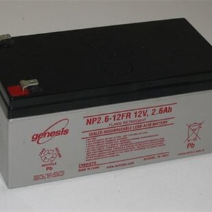 福禄克 1550C绝缘电阻测试仪高压兆欧表F1555B电池2142662 FLUKE