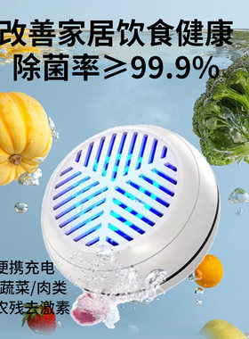 果蔬清洗机新一代 洗菜机水果蔬菜清洗神器家用2023