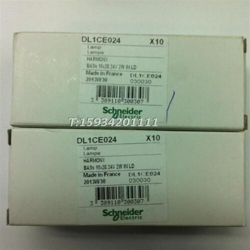 白炽灯泡 DL1CE024