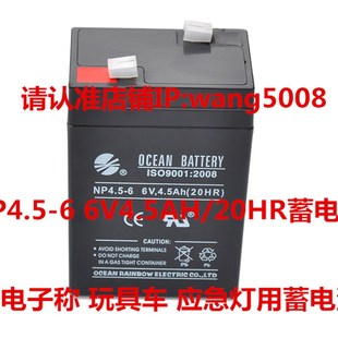 6V4.0AH NP4.5 OCEAN 20HR NP4.0 6V4.5AH 蓄电池 BATTERY