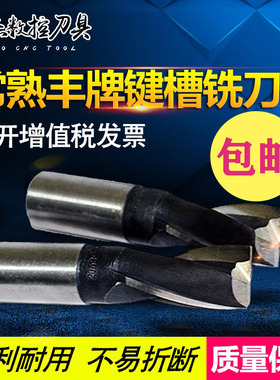 常熟直柄铣刀二刃丰牌键槽铣刀M3M4M5M6M8M10M12 M16 M18双刃
