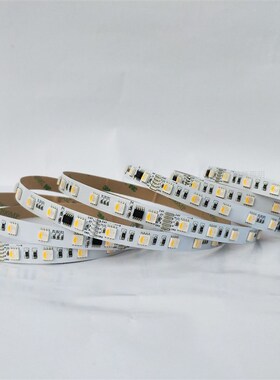 TM512AC DMX512幻彩灯条 10段60灯/米 5线RGBW桥梁工程幻彩灯带