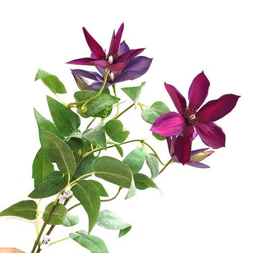 精品多头铁线兰仿真花铁线莲假花室内客厅卧室公桌茶几