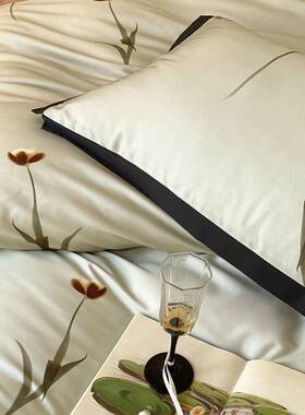 丝法式轻天丝棉四件套奢冰凉感床单JM被风套春夏裸睡亲肤床品