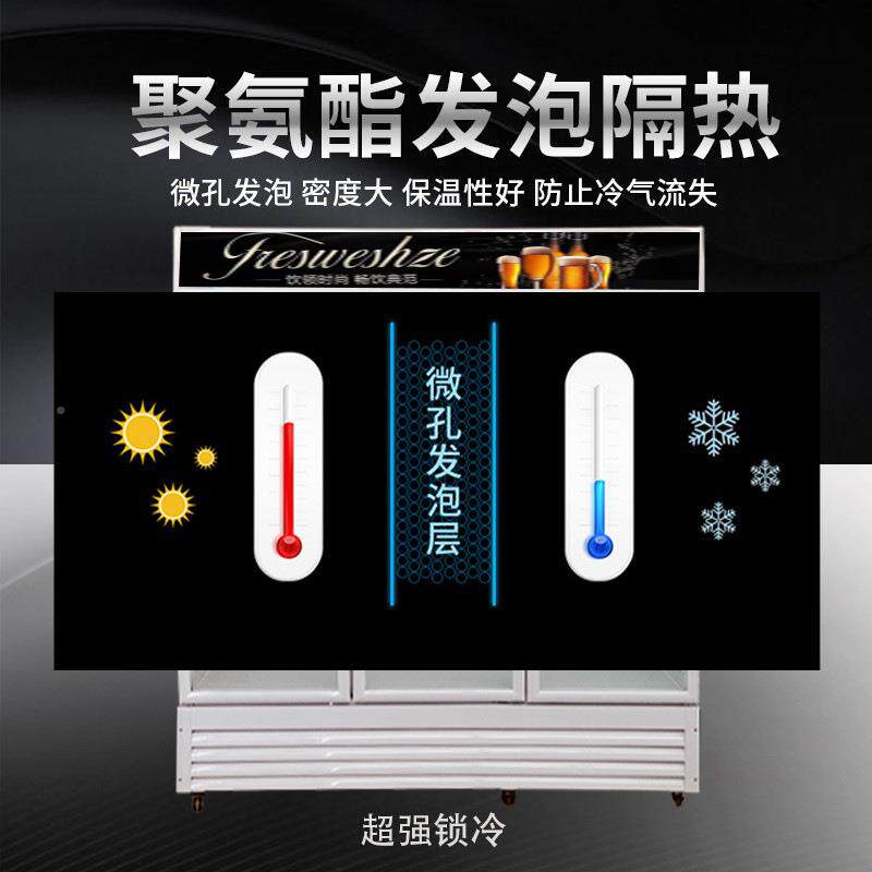 饮料啤柜式商用立柜单门冷酒藏0012展示水果蔬菜双开门保鲜柜超市