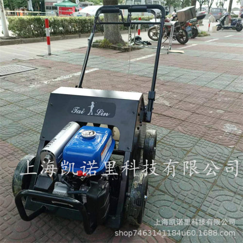 台林M.GREEN PL410/4 手推式垂直打孔机  草坪汽油打孔园林机械