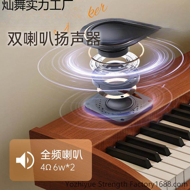 SRR8重锤键电钢琴成人无品牌/儿初学者入8门用家电子琴专业十童级