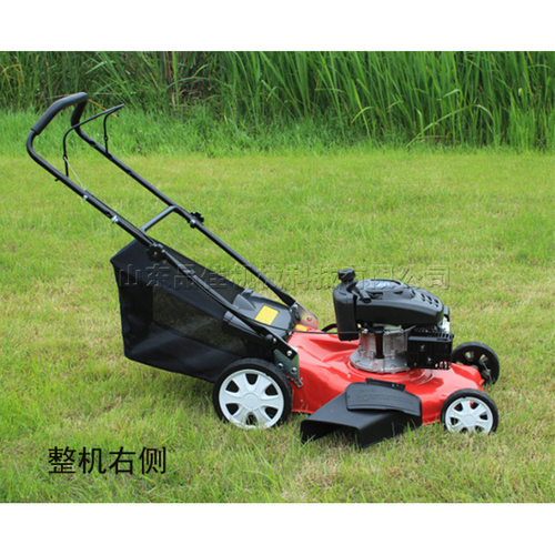 小型手推式草坪修剪机四轮驾驶式微型家用草地修剪车四冲程汽油机
