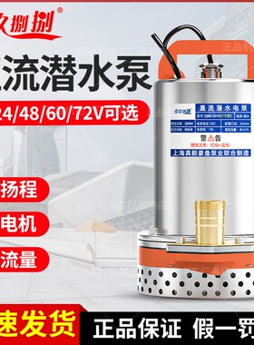 直流潜水泵12V24V 48V家用电瓶车抽水泵小型电动农用户外浇菜神器