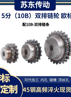 5分10B双排台轮欧标B系列工业链轮配10B-2链条10齿-30齿非标定做