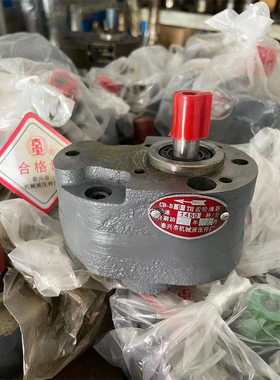 大连 沈阳 安阳 兰州CW6163 CW6180车床齿轮油泵CB-B6F CB-B10F