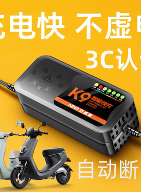 快充自动断电电动车电瓶充电器48V12AH60V20安72伏35石墨烯新国标