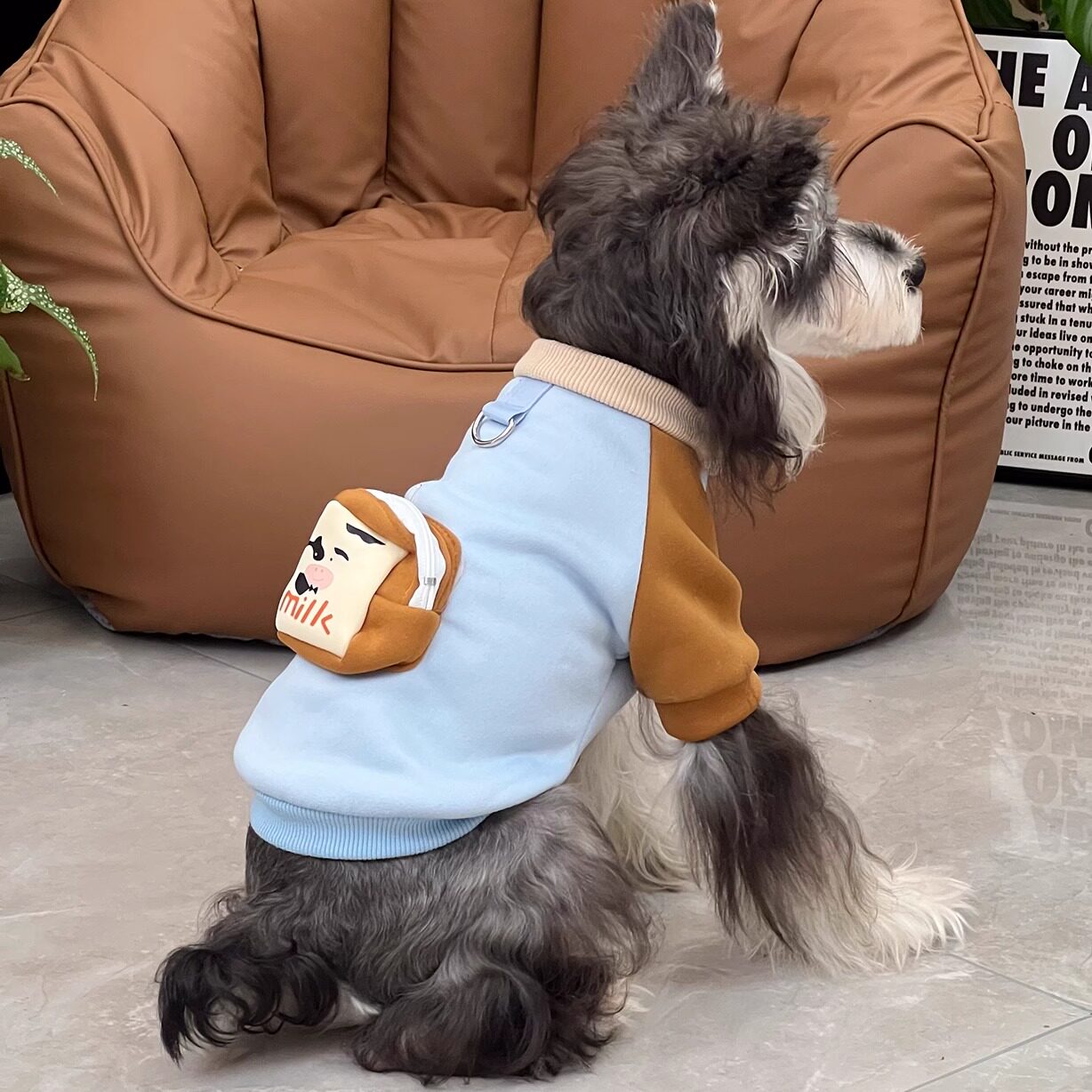 新款秋冬狗狗可爱卡通中小型犬小熊卫衣猫咪泰迪宠物衣服博美柯基