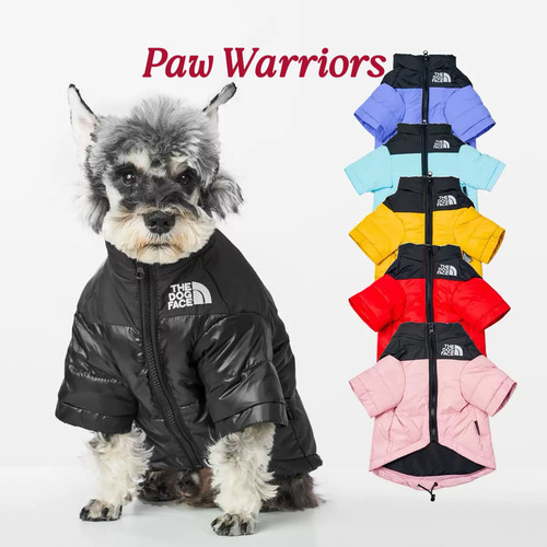 拼色长袖羽绒服宠物狗狗猫咪