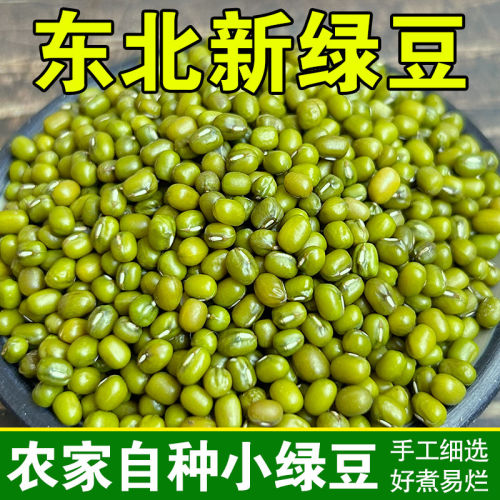 东北农家新绿豆可发芽解暑