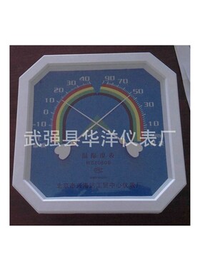 WS2080B温湿度表大八角指针式温湿度表 工业精准高精度挂壁