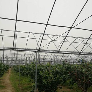 温室大棚全套骨架温室生产钢管水果棚架圆杆建造封闭防雨棚养殖棚
