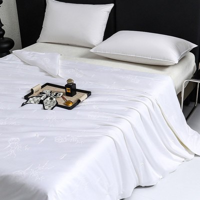 双宫蚕丝被100桑蚕丝手工蚕丝被空调被春秋加厚冬被二合一子母被