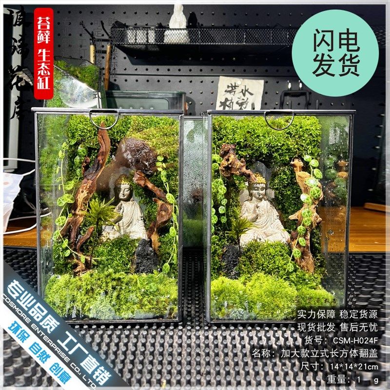 苔藓沉木微景观雨林缸生态瓶造景几何玻璃花房创意植物盆景长方形