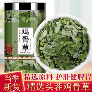 鸡骨草护肝茶相思叶益肝养肝茶广西鸡骨草泡水喝的功效与作用煲汤