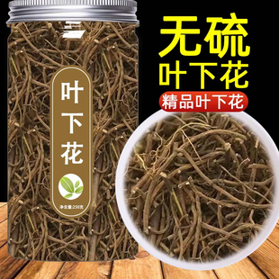 云南中药材叶下花 追风箭 叶下花根 云南叶下花500克包邮有叶上花