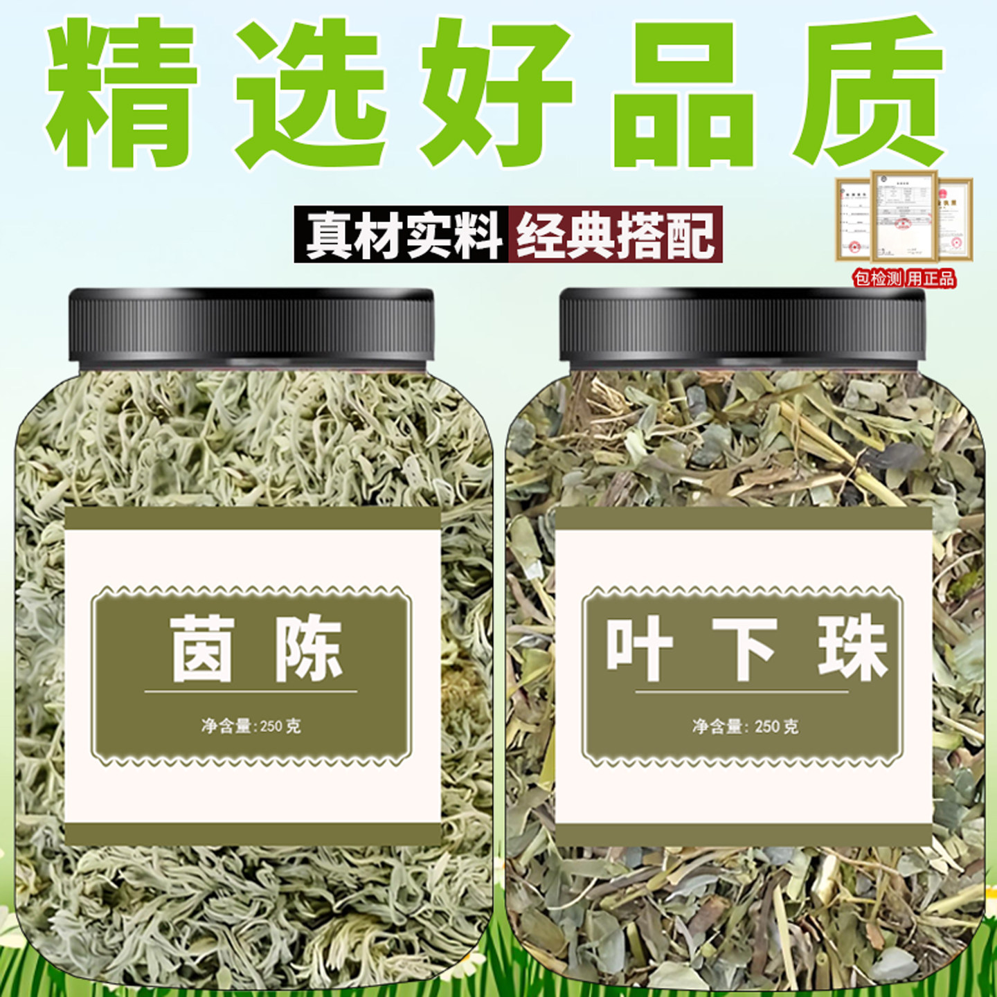 茵陈叶下珠组合干货 珍珠草绵茵