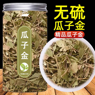 瓜子金中药材250g克 黄瓜仁草 瓜子草 辰砂草 金锁匙瓜子金中草药